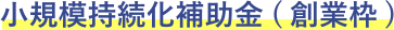 小規模持続化補助金(創業枠)